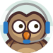 Meet our Support Owls!